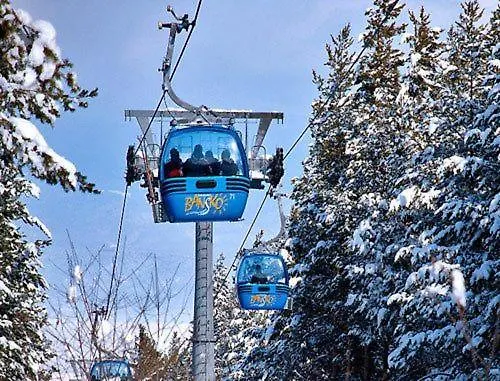 Dino Privates Emerald バンスコ